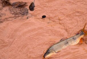 Samarco e Vale Multadas em R$ 1,8 Bilhão pelo Carf 3 rss featured 5155 1761310384