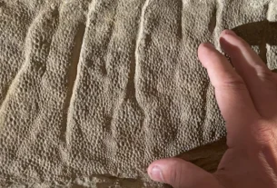 Máscara de Argila Explica Preservação de Dinossauros Única 3 rss featured 5728 1761492289